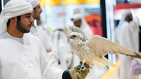 «أبوظبي للصيد والفروسية» يعزز الهوية الوطنية ويصون التراث