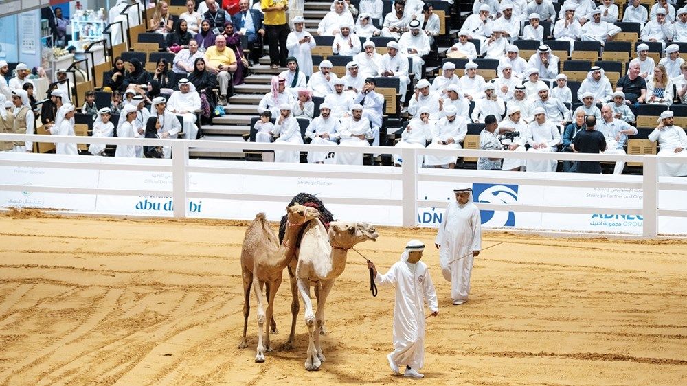 أبوظبي تختتم فعاليات «الصيد والفروسية 2025» بنجاح استثنائي