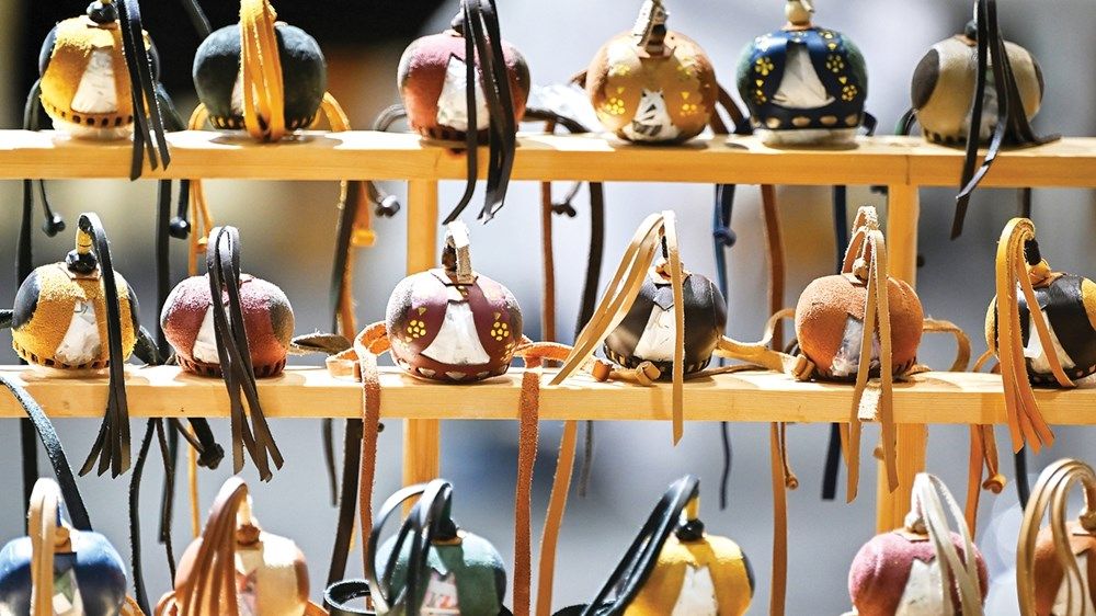 أبوظبي تختتم فعاليات «الصيد والفروسية 2025» بنجاح استثنائي