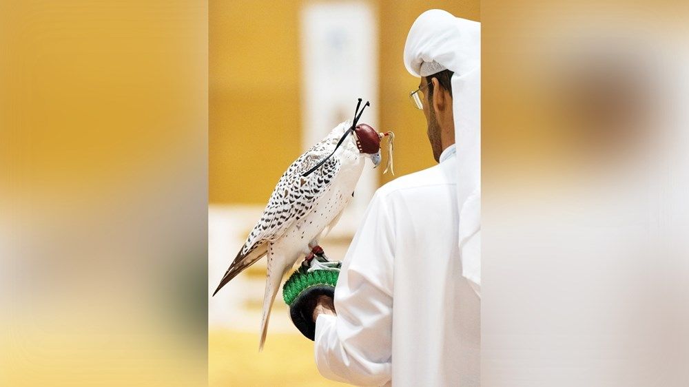 أبوظبي تختتم فعاليات «الصيد والفروسية 2025» بنجاح استثنائي