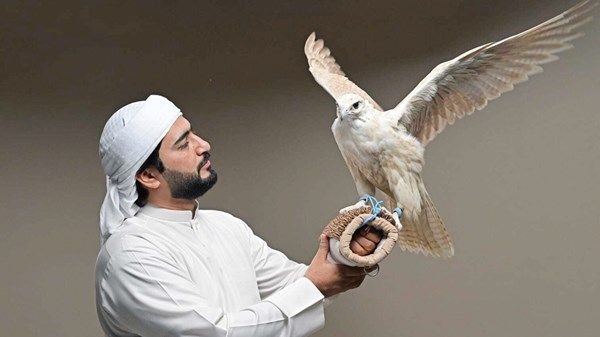 أبوظبي تختتم فعاليات «الصيد والفروسية 2025» بنجاح استثنائي
