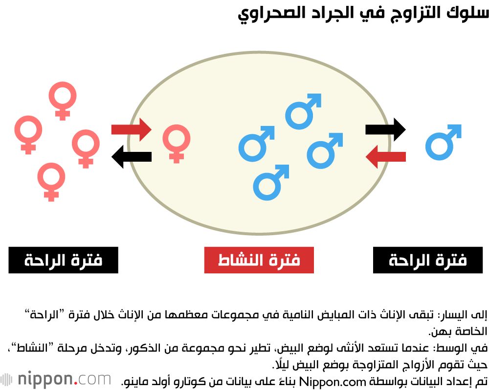 اليابان | كيف ألهمت رحلة عالم ياباني في الصحراء الكبرى أجيال الباحثين الجدد؟
