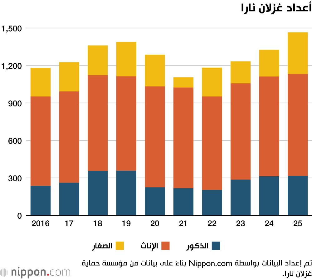اليابان | طفرة غير مسبوقة أعداد غزلان نارا مع تدفق السياح على اليابان