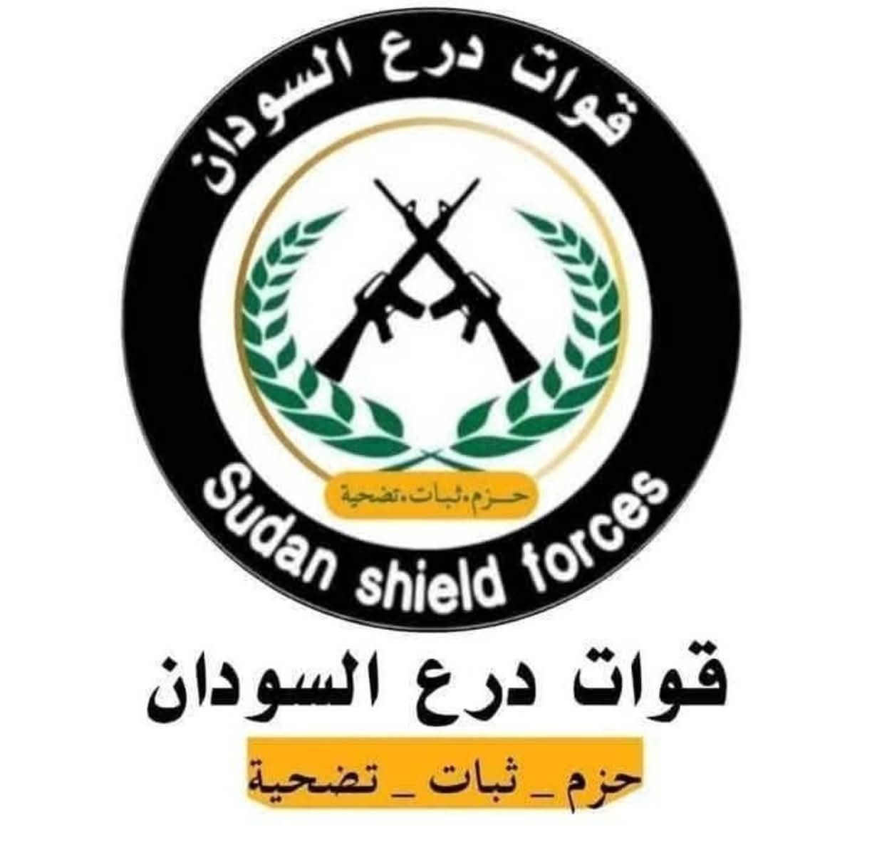 شاهد بالفيديو.. جنود درع الشمال يحتفلون بتحرير “بارا” بالأغاني الحماسية (منايا ليك ما وقف)