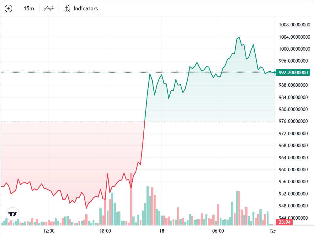 مستثمر "Diamond hand" يحول 1000 دولار إلى مليون دولار مع وصول BNB إلى 1000 دولار