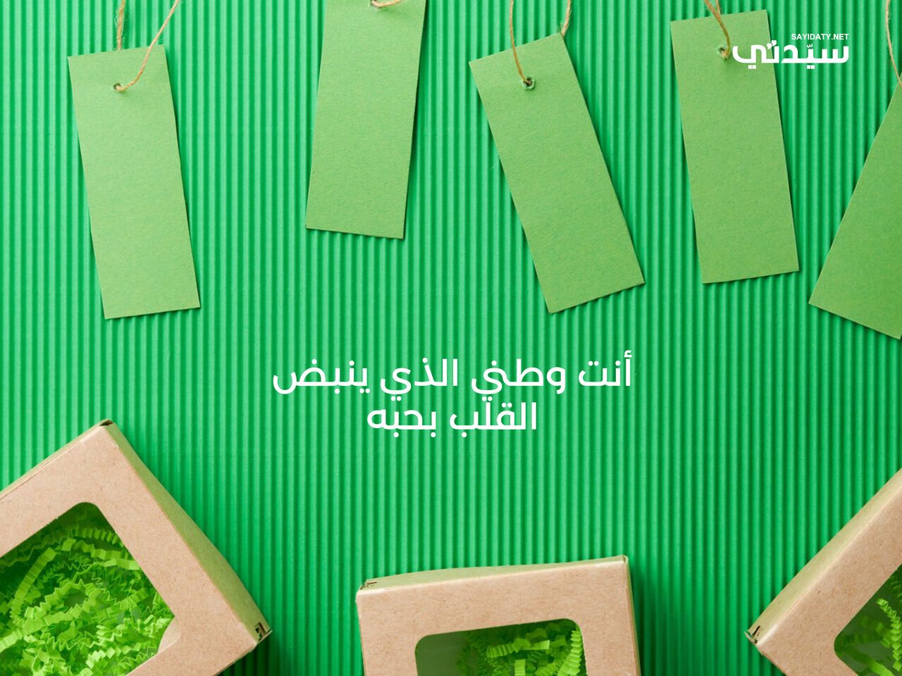 في اليوم الوطني السعودي 95: بطاقات وعبارات تهنئة من الأطفال