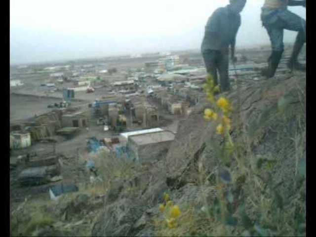 استحداث محاصيل جديدة.. وزير الزراعة يزور محلية الفاو