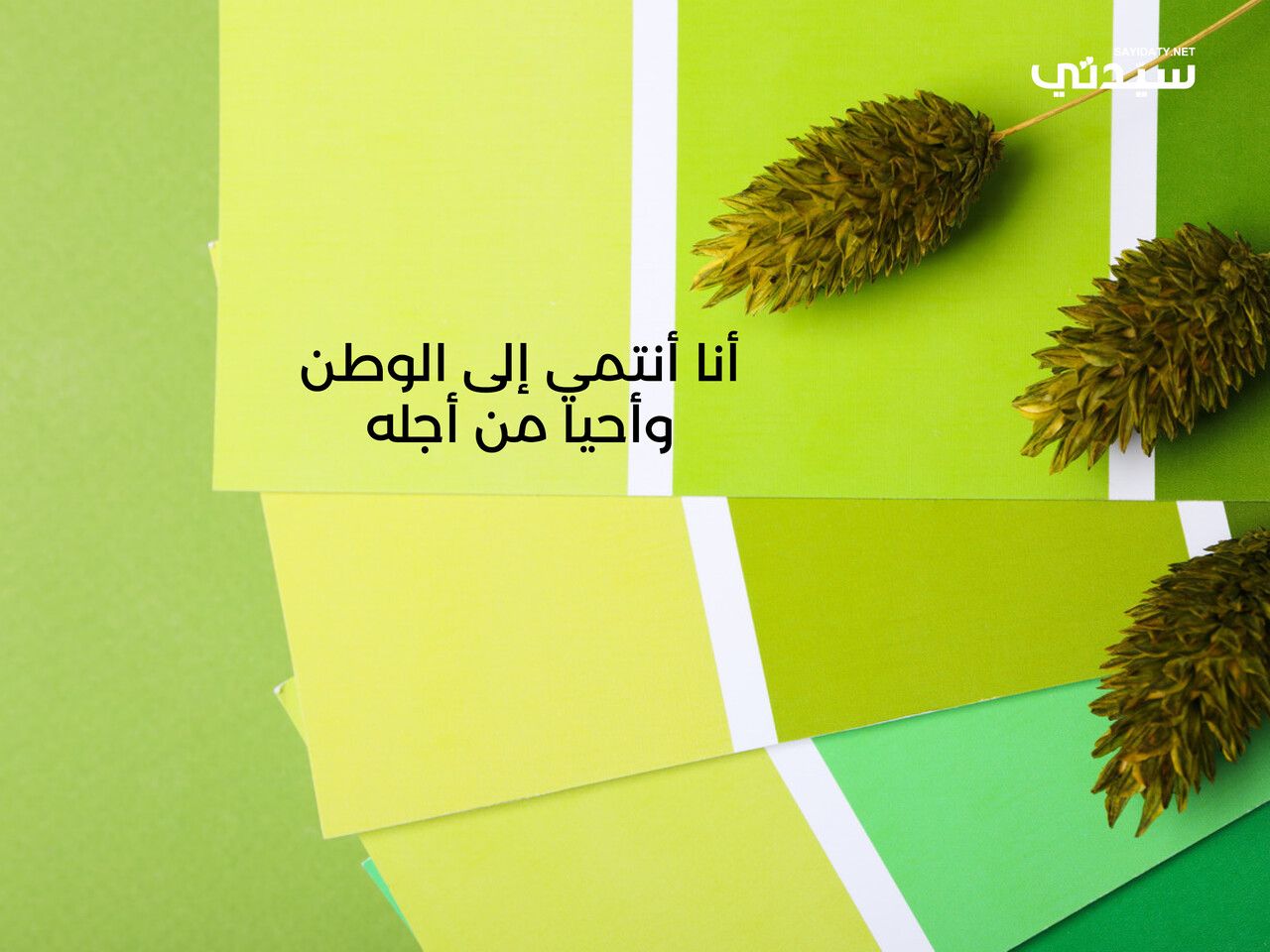 في اليوم الوطني السعودي 95: بطاقات وعبارات تهنئة من الأطفال