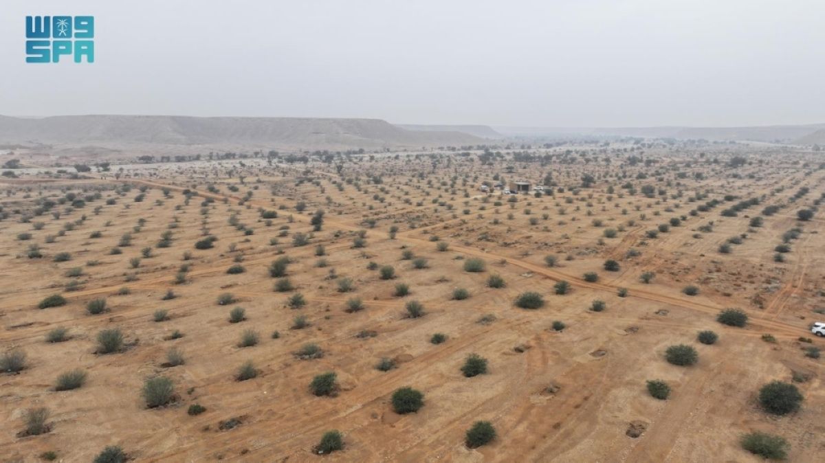 «الغطاء النباتي» يدعو لإبداء الرغبات في الاستثمار بـ13 متنزها وطنيا بالرياض