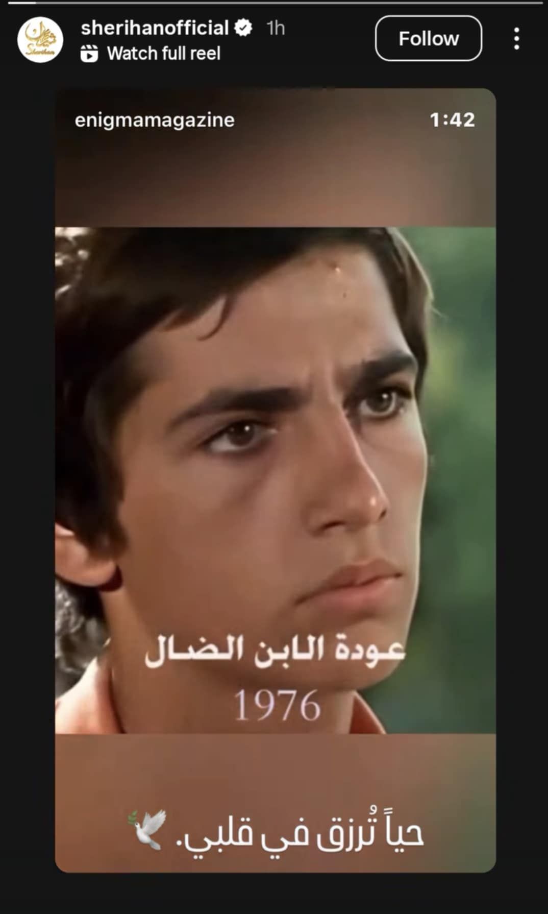 شريهان تحيي ذكرى وفاة هشام سليم: حياً تُرزق في قلبي