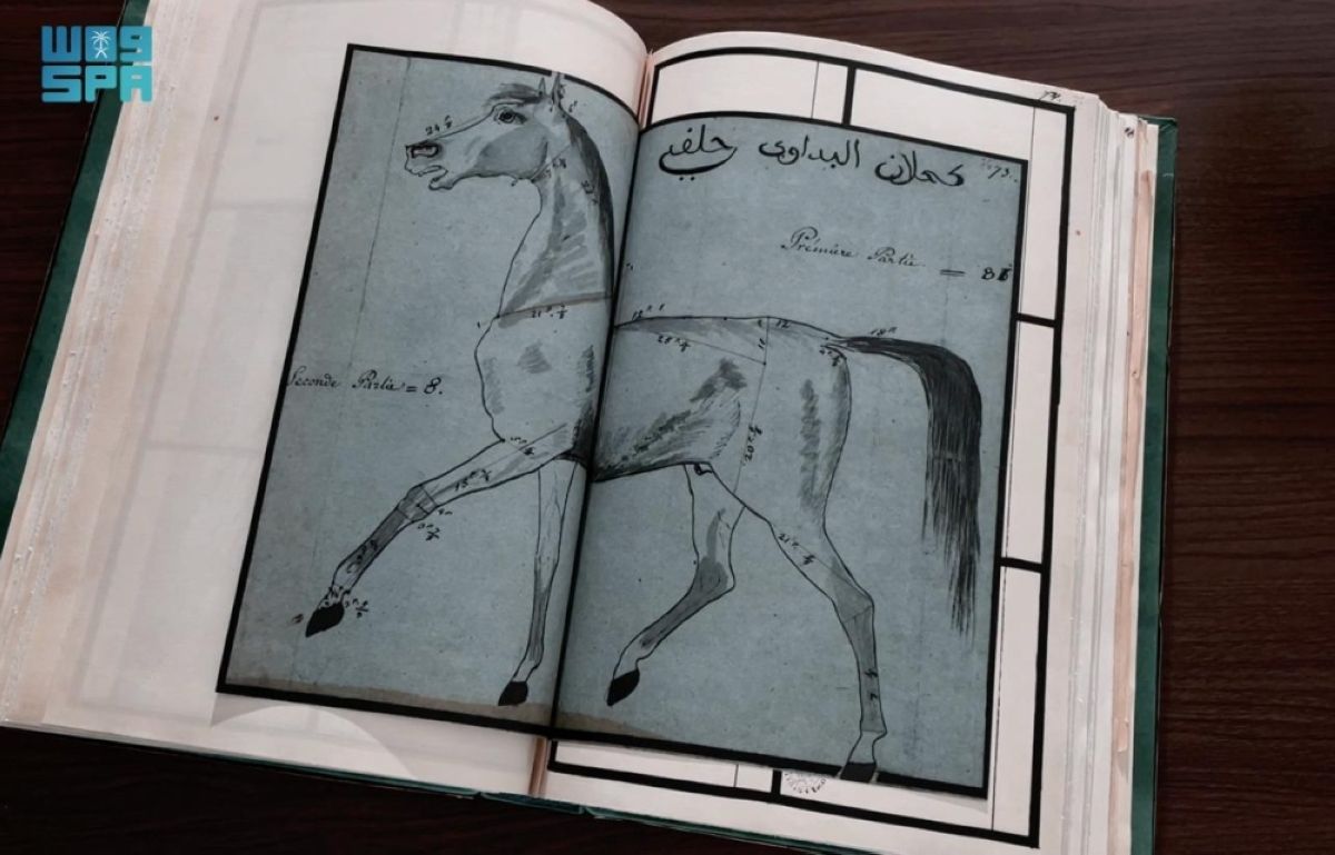 مركز دراسات الفروسية بمكتبة الملك عبدالعزيز 
يبرز دور الخيل والفروسية في مراحل التوحيد والوحدة