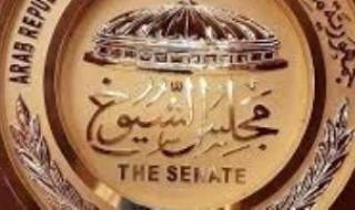 مجلس الشباب المصري يصدر تقريرًا تحليليًا عن المشهد الحزبي في انتخابات مجلس الشيوخ 2025