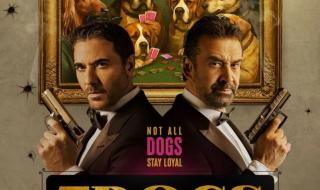 فيلم 7Dogs يتفوق على الأفلام العالمية... يحطم رقمين قياسيين عالميين في غينيس