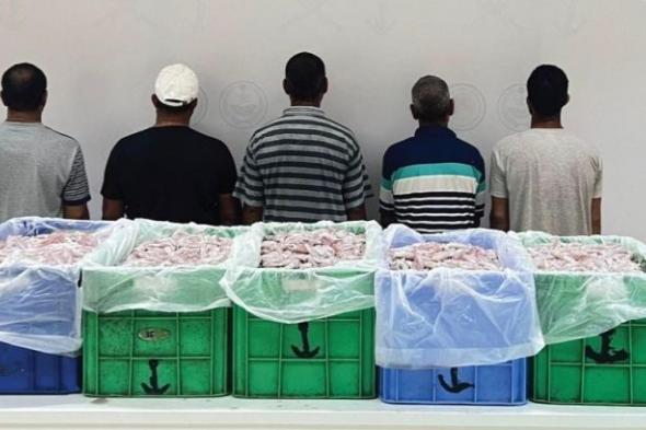 جازان.. حرس الحدود يضبط 5 مخالفين للائحة الأنشطة البحرية